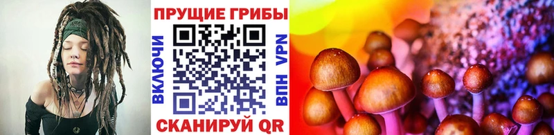 Галлюциногенные грибы GOLDEN TEACHER  как найти   Чусовой 